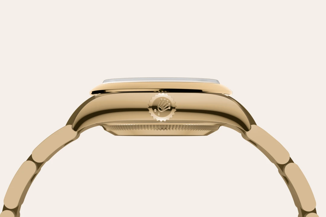 Rolex Oyster Perpetual m276208-0002 material