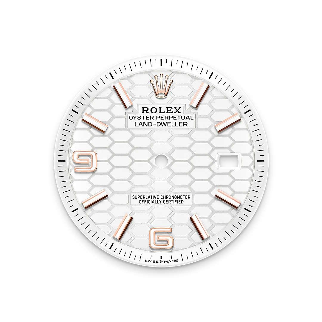 Rolex Land-Dweller m127335-0001 esfera