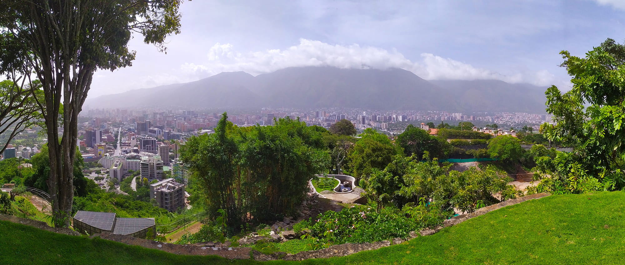 EnsambleCuerdadCcsElCerrito - 1