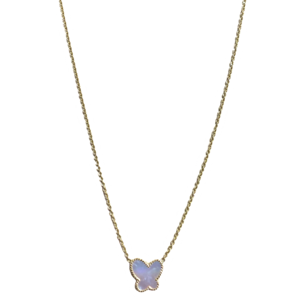 Cadena con Mariposa de Nácar