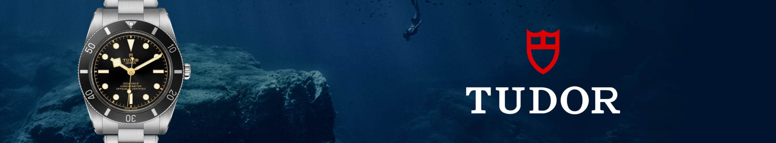 Tudor-banner BB 54 m79000n-0001 Desktop