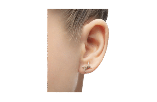 Barbelé Earrings - Imagen 2